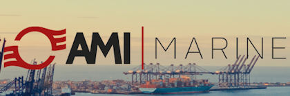 AMI Marine Ltd